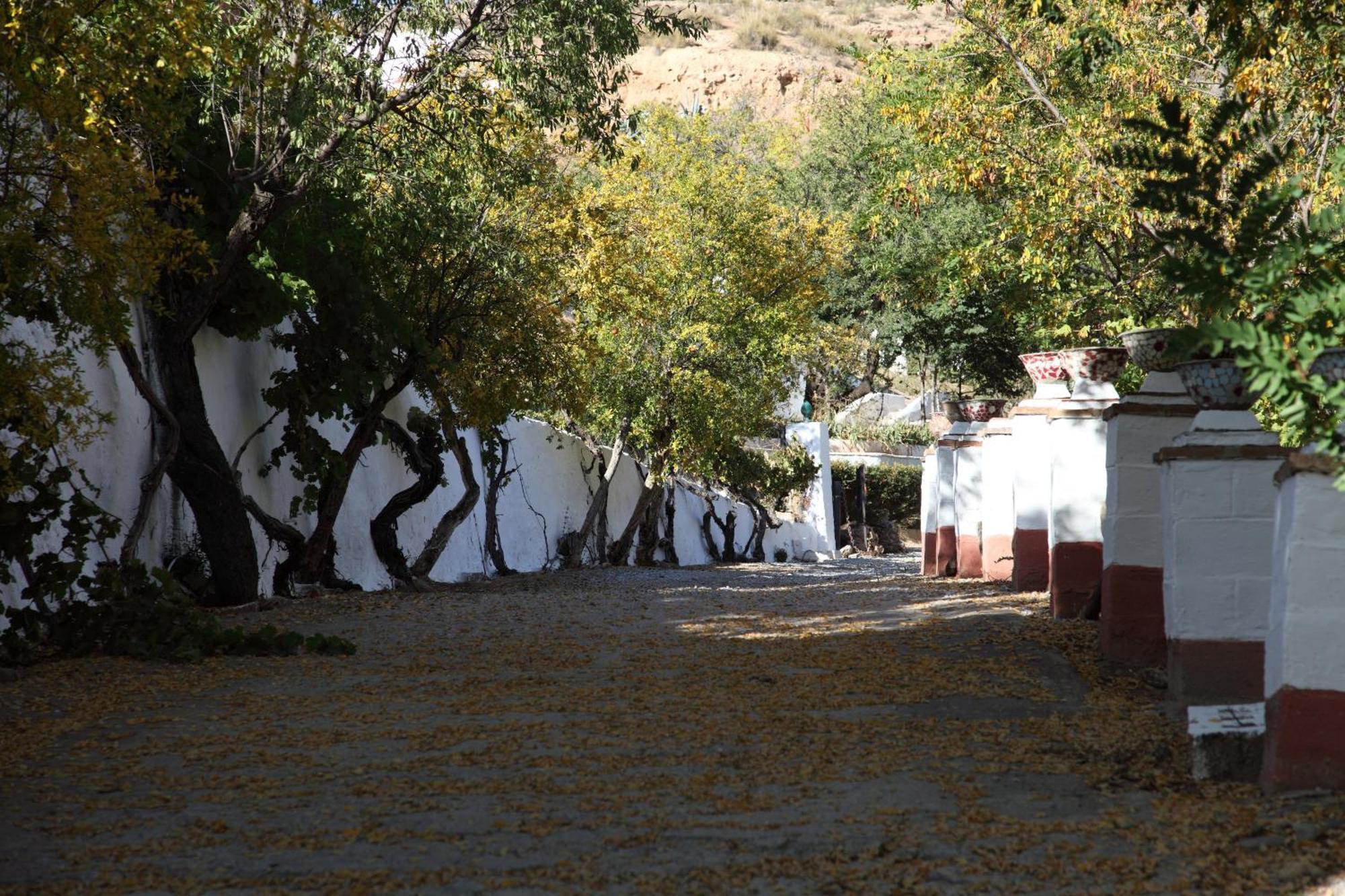 Casas Cueva Y Cortijo La Tala En Guadix Quarto foto
